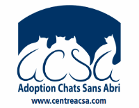 Adoption Chats Sans Abri