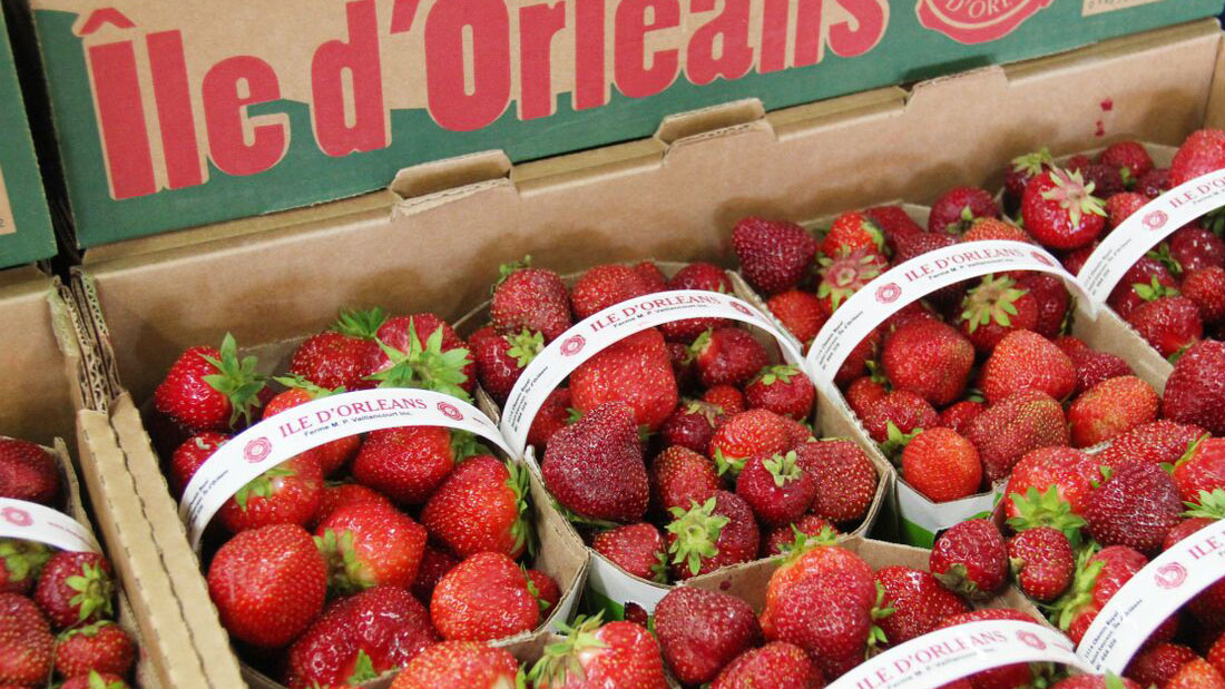Les fraises de l'Ile sont en ville! | IGA Pierre Jobidon