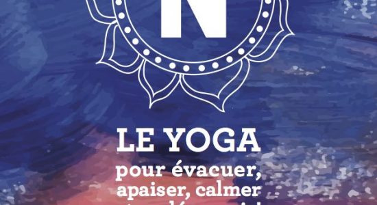 Cour de Yoga GRATUIT | Namaste Yoga Limoilou