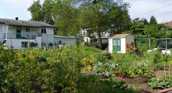 Jardinage urbain : une nouvelle « étincelle » pour mobiliser les citoyens - Suzie Genest