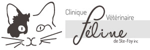 Clinique Vétérinaire Féline de Ste-Foy | Service mobile
