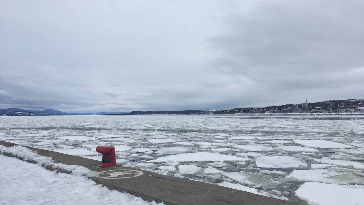 Selon SOS Port de Québec, le projet Beauport 2020 menace de détruire des milieux naturels et d'augmenter le trafic naval sur le fleuve Saint-Laurent.