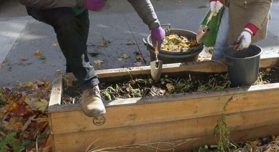 Croque mon potager : un projet d’agriculture urbaine citoyenne pousse dans Maizerets - Suzie Genest
