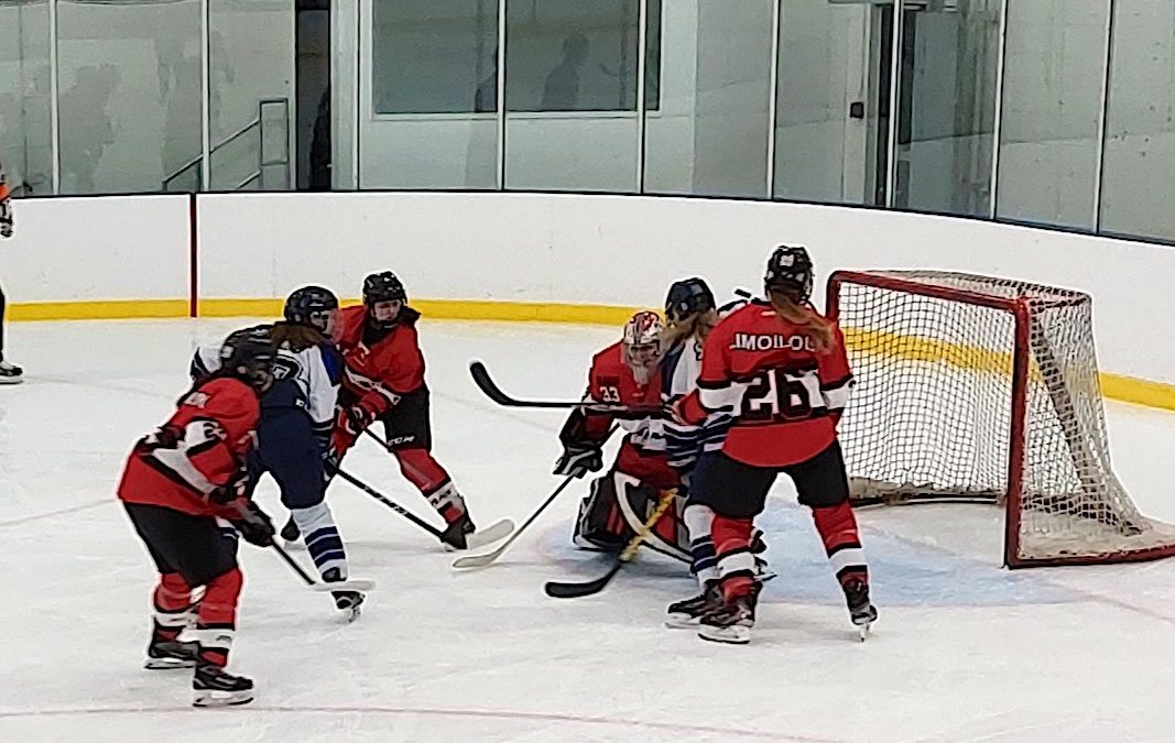 Hockey collégial féminin D1 : les Islanders et les Cougars vainquent les Titans | 28 février 2022 | Article par Christian Lemelin
