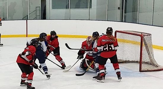Hockey collégial féminin D1 : les Islanders et les Cougars vainquent les Titans - Christian Lemelin