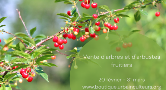 Vente d'arbres et d'arbuste fruitiers ! | Urbainculteurs (Les)